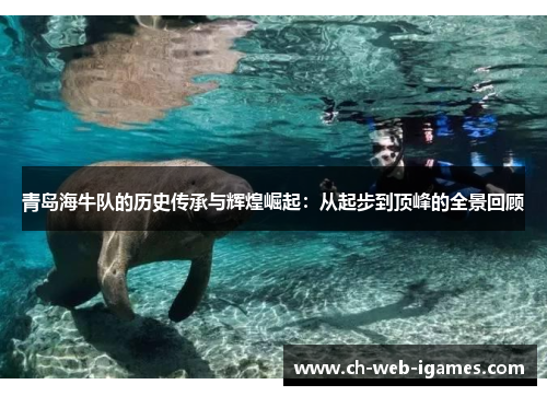 青岛海牛队的历史传承与辉煌崛起:从起步到顶峰的全景回顾 青岛海牛队的历史传承与辉煌崛起:从起步到顶峰的全景回顾